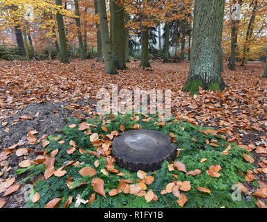 Nuthetal, Germany. 12th Nov, 2018. A sample grave in the Friedwald near Nuthetal. The burial in specially designated forest areas offers an alternative to the classical burial in the cemetery. Credit: Bernd Settnik/dpa-Zentralbild/dpa/Alamy Live News Stock Photo