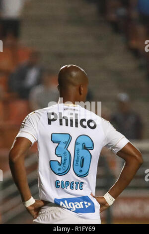 SÃO PAULO, SP - 12.11.2018: SANTOS X CHAPECOENSE - Blue number on Copete do Santos shirt, in favor of the November Azul campaign, during the match between Santos and Chapecoense held at Paulo Machado de Carvalho Stadium, Pacaembu. The match is valid for the 33rd round of the 2018 Brazilian Championship. (Photo: Ricardo Moreira/Fotoarena) Stock Photo