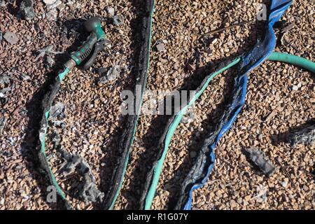 Malibu, California, USA. 12th Nov, 2018. Burnt lines of garden hoses lay on the ground, evidence local residents made to save their homes. Credit: Chris Rusanowsky/ZUMA Wire/Alamy Live News