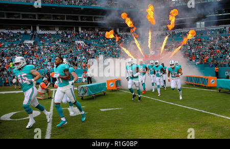 Miami Gardens, Florida, USA. 4th Nov, 2018. Miami Dolphins players storm  onto the field during the opening ceremony of an NFL football game between  the New York Jets and the Miami Dolphins