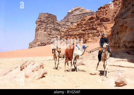 Bedouin and four camels dromedary in Wadi Rum desert, Jordan, Middle East Stock Photo