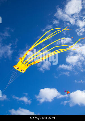 FUERTEVENTURA, SPAIN - NOVEMBER 10: Visitors enjoy beautiful display of flying kites of  at 31th International Kite Festival, November 10, 2018 in Nat Stock Photo