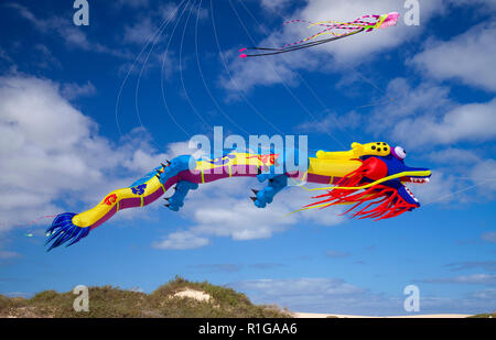 FUERTEVENTURA, SPAIN - NOVEMBER 10: Visitors enjoy beautiful display of flying kites of  at 31th International Kite Festival, November 10, 2018 in Nat Stock Photo