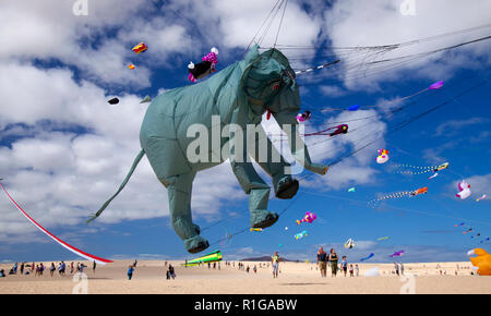 FUERTEVENTURA, SPAIN - NOVEMBER 10: Visitors enjoy beautiful display of flying kites of  at 31th International Kite Festival, November 10, 2018 in Nat Stock Photo