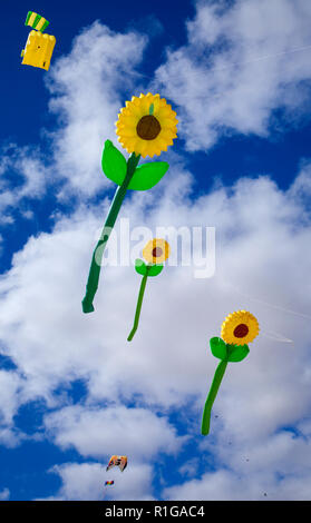 FUERTEVENTURA, SPAIN - NOVEMBER 10: Visitors enjoy beautiful display of flying kites of  at 31th International Kite Festival, November 10, 2018 in Nat Stock Photo