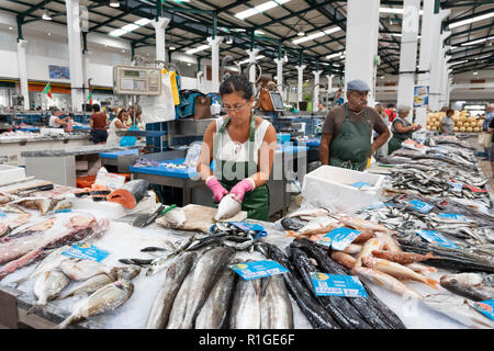 Fresh fish stall inside the Mercado do Livramento taken in the morning, Avenida Luisa Todi, Setubal, Lisbon region, Portugal, Europe Stock Photo