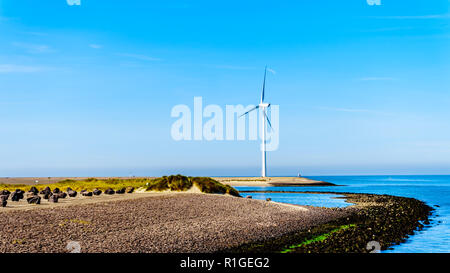 Wind Turbines at the Oosterschelde inlet at the Neeltje Jans island at the Delta Works Storm Surge Barrier in Zeeand Province in the Netherlands Stock Photo