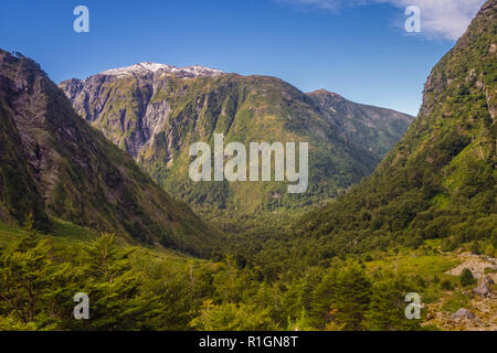 Enchanted Forest - Queulat National Park - Carretera Austral Chile, Patagonia Stock Photo