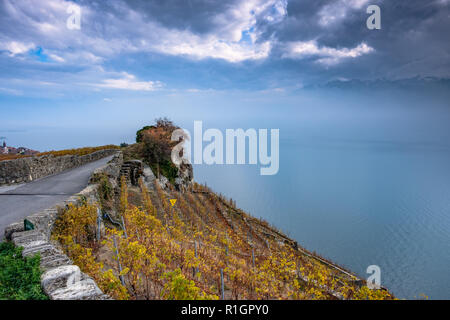 Beautiful autumn colors on the terraces of the Lavaux vineyards in Switzerland and fog and dark threatening clouds over Lake Geneva. Stock Photo