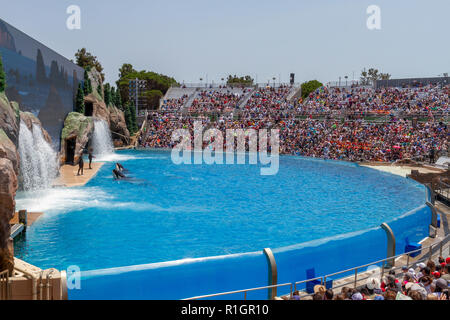 The “Orca Encounter” show at SeaWorld San Diego, California, United States. Stock Photo