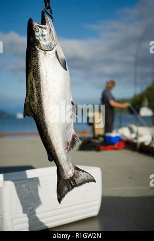 Caught fish being weighed on a wharf. Stock Photo