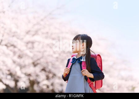 Japanese schoolgirls in their uniforms with cherry blossoms in the  background - Stock Photo - Masterfile - Rights-Managed, Artist: Aflo Relax,  Code: 859-06404849