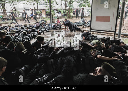 Bangkok, Thailand - November 10, 2018: Large group of Thai Territorial Defense Students crawling after the commander command to do so Stock Photo