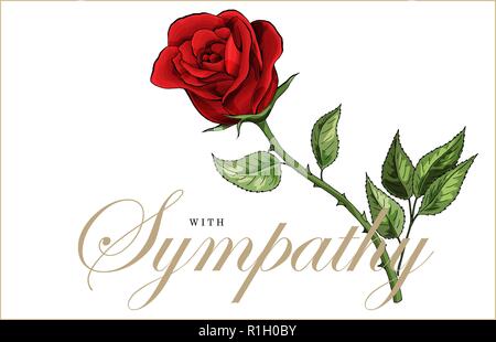 Condolences sympathy card floral red roses bouquet and lettering Stock Vector