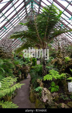 Victorian fernery at Churchtown, Southport, UK. Ferns growing in protected environment with tufa formations Stock Photo