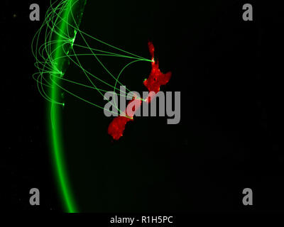 New Zealand on model of green planet Earth with international networks ...