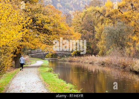 People walking enjoying the fresh air along the Llangollen branch of the Shropshire union canal with  Autumn colours in the trees along the towpath Stock Photo