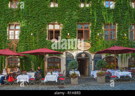 Pfistermühle restaurant at Platzl-Karree with wine, Jungfernrebe (Parthenocissus tricuspidata), Munich, Upper Bavaria, Bavaria Stock Photo
