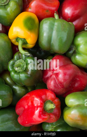 Green Red and Yellow  Bell Peppers Stock Photo