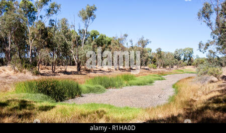 Dried up lake bed in bushland in Wellard, south of Perth in Western Australia. Stock Photo