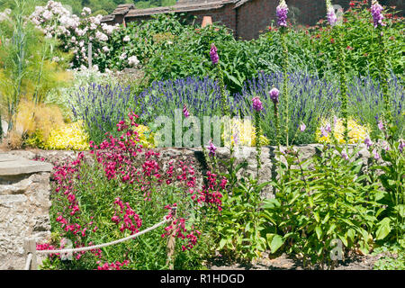 Colorful summer garden with lavender roses and other flowers, shrubs . Stock Photo