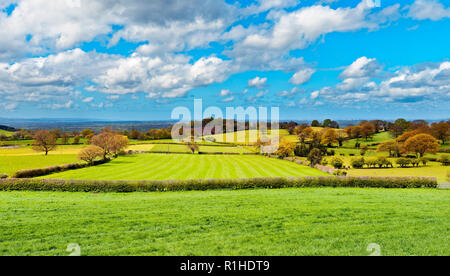 Looking across the Cheshire countryside as the first signs of autumn become apparent. Stock Photo