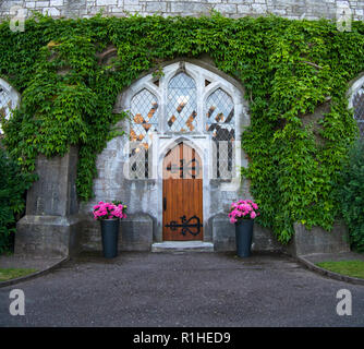 Two flower pots in front of an entrance with a wooden door surrounded by green ivy Stock Photo