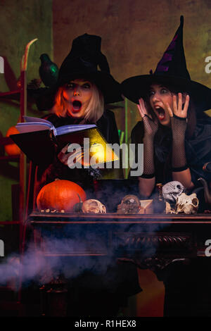 Picture of laughing two witches in black hats reading book of incantations on cauldron with steam at dark room Stock Photo