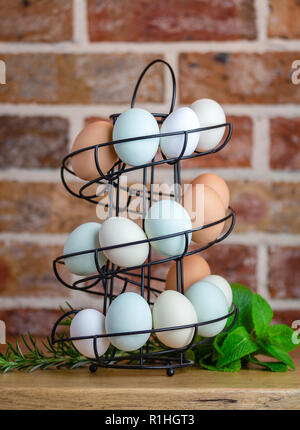 Free range fresh eggs in kitchen variety of colours and sizes from different breeds of chickens, blue Araucana, white Polish, brown Isa Brown eggs Stock Photo