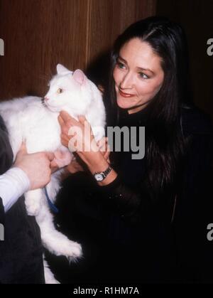 BEVERLY HILLS, CA - DECEMBER 21: Actress Olivia Hussey attends the 'Shakespeare - The Animated Tales: Romeo And Juliet' Beverly Hills Premiere on December 21, 1992 at Samuel Goldwyn Theatre in Beverly Hills, California. Photo by Barry King/Alamy Stock Photo Stock Photo
