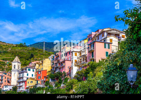 Colorful houses with storied vineyards background in Manarola Village Italy Stock Photo