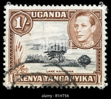 Postage stamps from British East Africa (Kenya, Uganda, Tanganika) in the  King George VI series Stock Photo