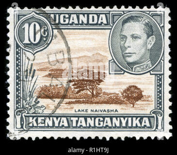 Postage stamps from British East Africa (Kenya, Uganda, Tanganika) in the  King George VI series Stock Photo