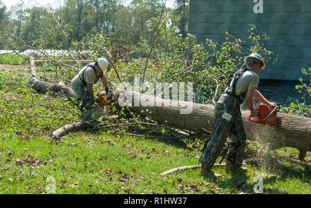 Spc. Jose D. Serrano (left) from the 882nd Engineer Company in Taylorsville, North Carolina and Sgt. Arlie L. Souther (right) from the 875th Engineer Company in North Wilkesboro, North Carolina, cut a fallen tree on Sept. 20, 2018 in Whiteville, North Carolina. The soldiers are working with the North Carolina Department of Agriculture to help remove the trees that damaged the land during Hurricane Florence at the Border Belt Tobacco Research Station in Whiteville. Stock Photo