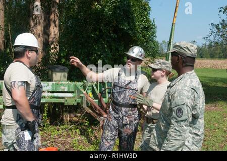 Soldiers from the 875th Engineer Company in North Wilkesboro, North Carolina and the 882nd Engineer Company in Taylorsville, North Carolina, discuss a plan of action to clear fallen trees on Sept. 20, 2018 in Whiteville, North Carolina. The soldiers are working with the North Carolina Department of Agriculture to help remove the trees that damaged the land during Hurricane Florence at the Border Belt Tobacco Research Station in Whiteville. Stock Photo