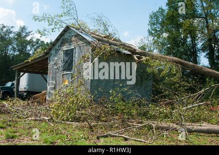 A barn on Border Belt Tobacco Research Station suffers tree damage caused by Hurricane Florence on Sept. 15, 2018 in Whiteville, North Carolina. BBTRS has over 100 acres of land and is funded by the North Carolina Department of Agriculture. Stock Photo