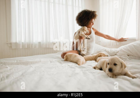 Young woman looking through window while sitting on bed with Labrador puppies. Stock Photo