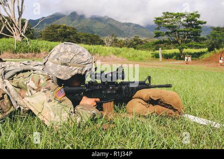 A soldier assigned to the 94th Army Air and Missile Defense Command lies in the prone firing position and focuses on the target as he attempts to qualify at the M4 range, Sept. 24, 2018, at Schofield Barracks, HI.  ( Stock Photo