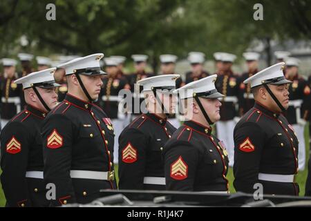 Marine Corps Body Bearers, Bravo Company, Marine Barracks Washington D.C., stand at attention during a full honors funeral for three formerly unaccounted for Vietnam veterans at Arlington National Cemetery, Arlington, Va., Sept. 27, 2018. Capt. John A. House II, Cpl. Glyn L. Runnels, Jr. and Lance Cpl. John D. Killen III were accounted for on Dec. 22, 2015 and buried together in Arlington. The Marines died when their CH-64A Sea Knight helicopter was struck by enemy fire and crashed, June 30, 1967. House, who piloted the helicopter, was attempting to insert eight members of Company A, 3rd Recon Stock Photo