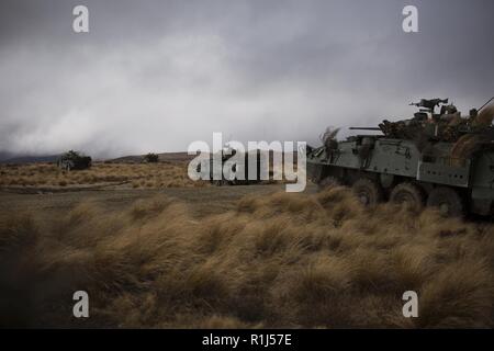 U.S. Marines and Royal New Zealand Army soldiers call for fire from a Light Armoured Vehicle as part of exercise Joint Assault Signals Company Black, Waiouru Military Camp, New Zealand, Sept. 26, 2018. The Marines are with 1st Brigade, 5th Air Naval Gunfire Liaison Company, III Marine Expeditionary Force Information Group. Stock Photo