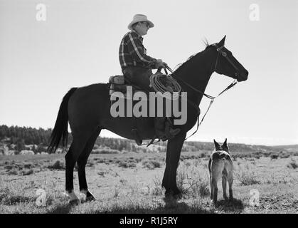 Mature cowboy sitting on a horse next to his dog in a remote field. Stock Photo
