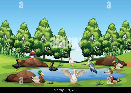 Many bird in nature illustration Stock Vector