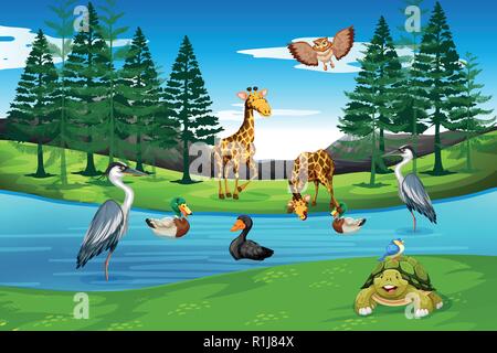 Many animals in nature illustration Stock Vector