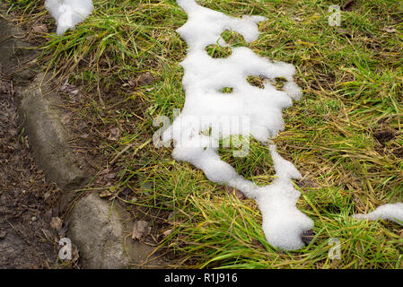 Snow melting on grass Stock Photo