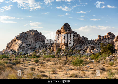 Hills of craggy boulders are prime climbing locations in Joshua Tree National Park in Twenty-nine Palms, California. Stock Photo