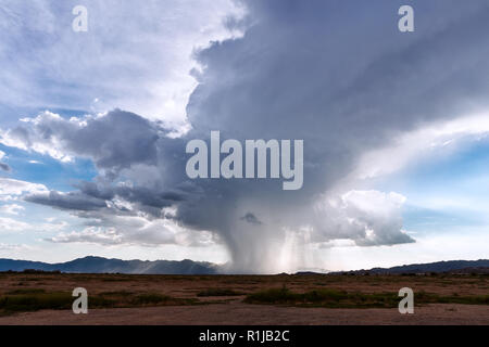 Rain falling from a monsoon thunderstorm cumulonimbus cloud in Arizona Stock Photo