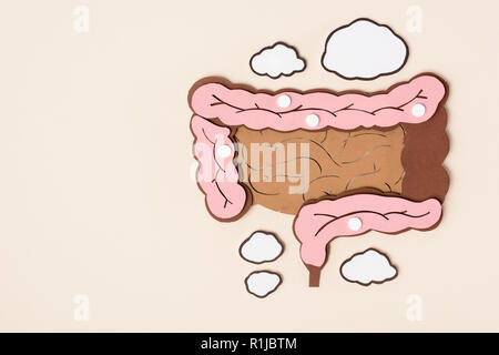 elevated view of human large intestine with white pills on beige Stock Photo