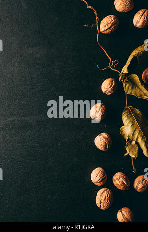 top view of chestnuts and dry leaves on black surface Stock Photo