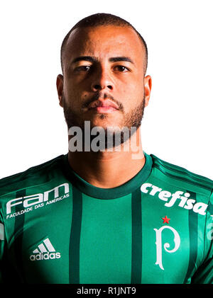 Brazilian Football League Serie A 2018 /  ( Sociedade Esportiva Palmeiras ) -  Mayke Rocha Oliveira Stock Photo