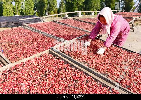 Weifang, Weifang, China. 13th Nov, 2018. Weifang, CHINA-Peasants are busy with making and processing dried hawthorn slices in Weifang, east Shandong Province. Credit: SIPA Asia/ZUMA Wire/Alamy Live News Stock Photo